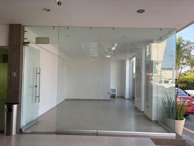Foto de la galeria de imagenes