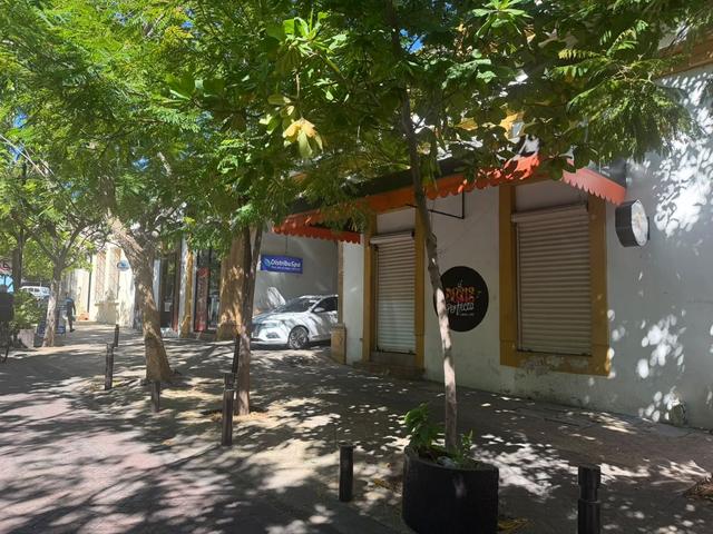 Foto de la galeria de imagenes