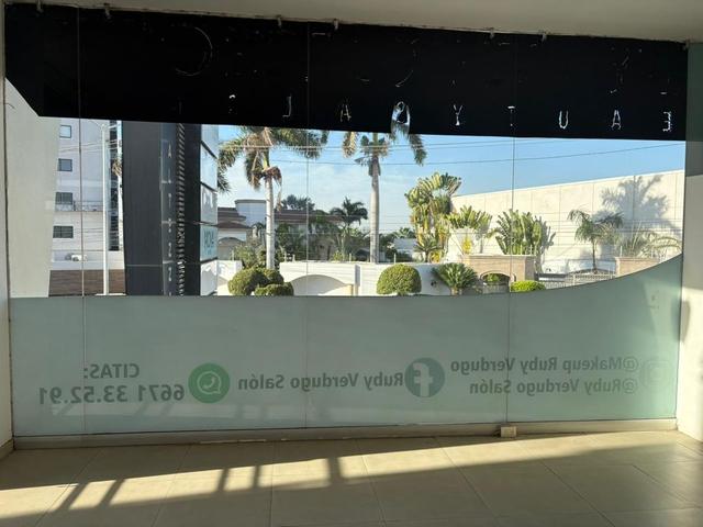 Foto de la galeria de imagenes