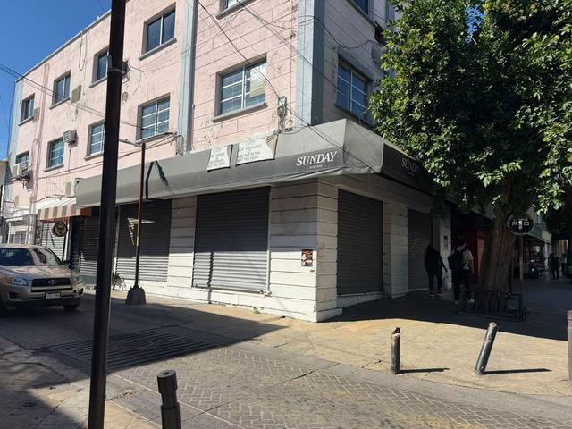 Foto de la galeria de imagenes