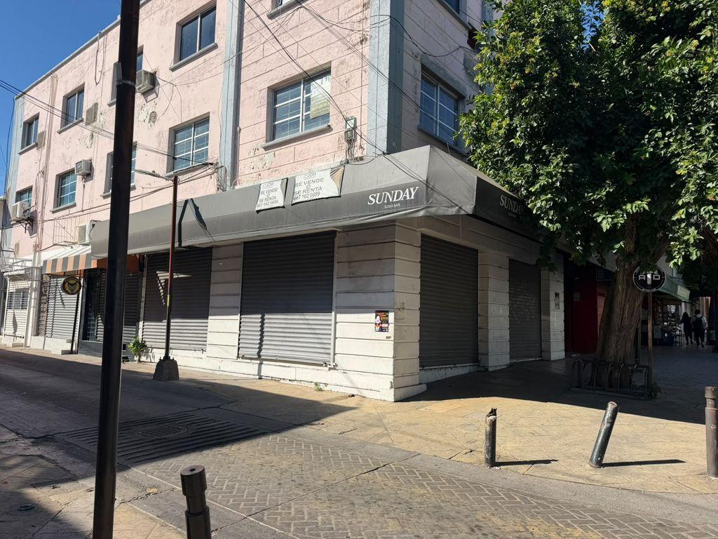 Foto de la galeria de imagenes