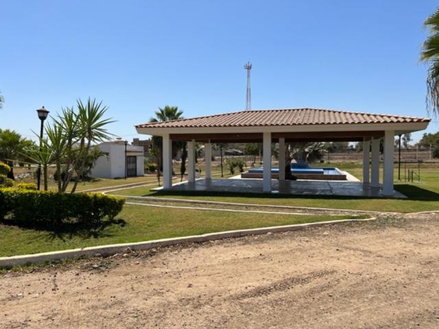 Foto de la galeria de imagenes